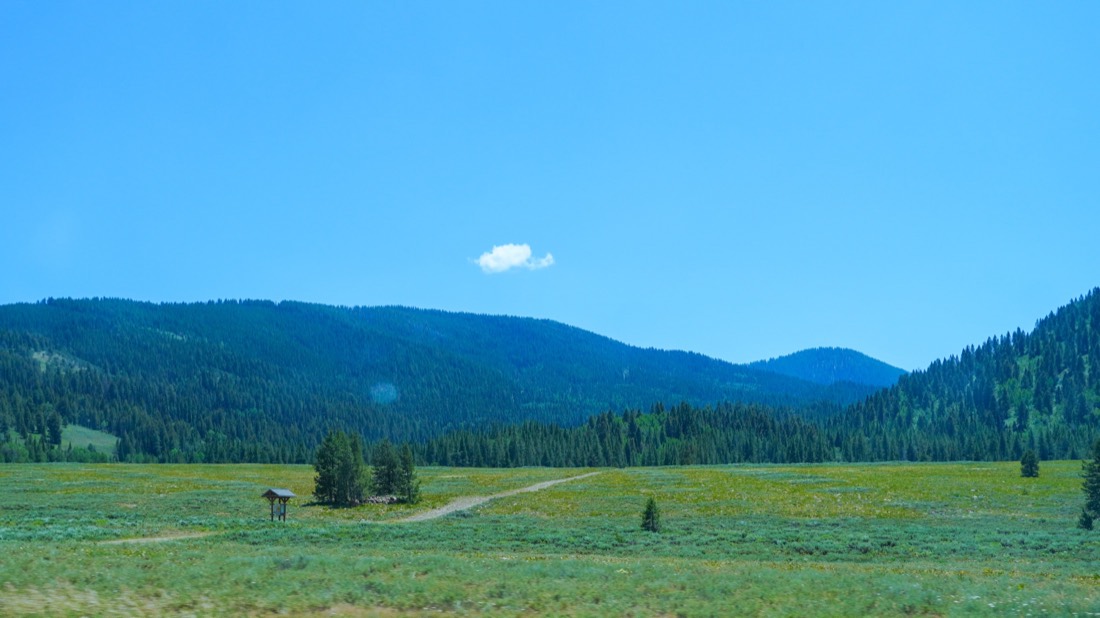 A wide alpine meadow edged with pine forest