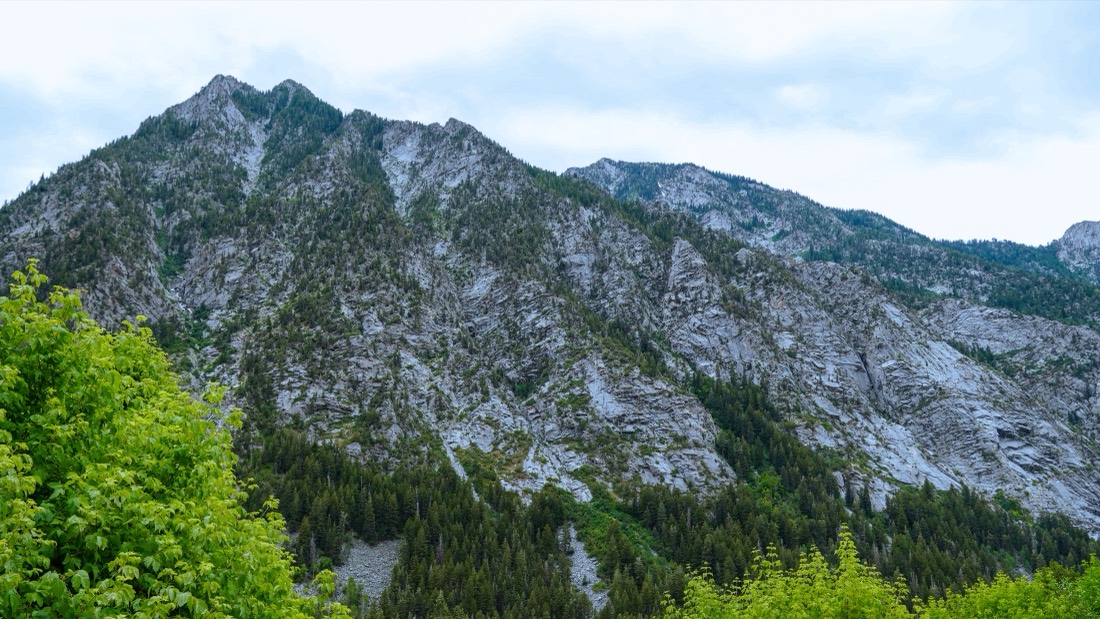A granite mountain face above a green forest